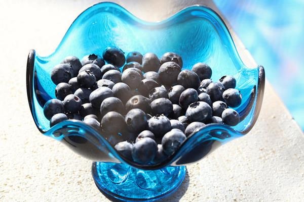 paleo blueberry muffins, paleo blueberry muffin recipe, paleo diet, paleo recipes, muffin