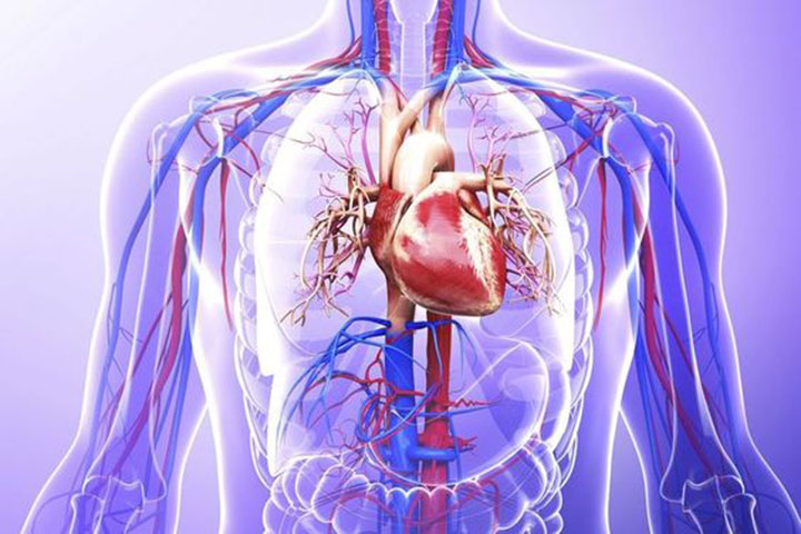 preventing strokes, warfarin, blood thinners, atrial fibrillation