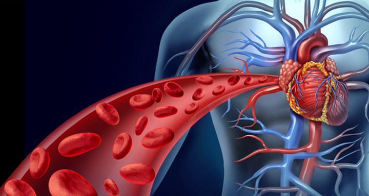 preventing strokes, warfarin, blood thinners, atrial fibrillation
