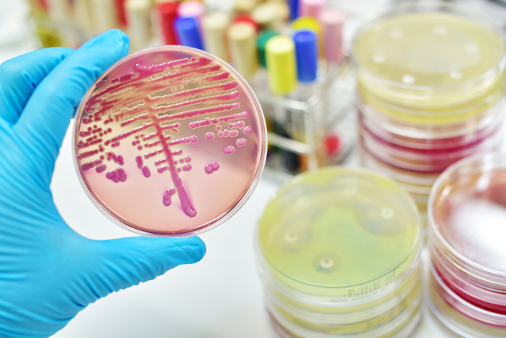 meningitis, meningitis symptoms