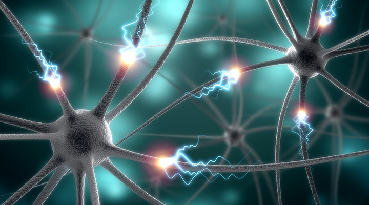 types of epilepsy, epilepsy, epilepsy symptoms