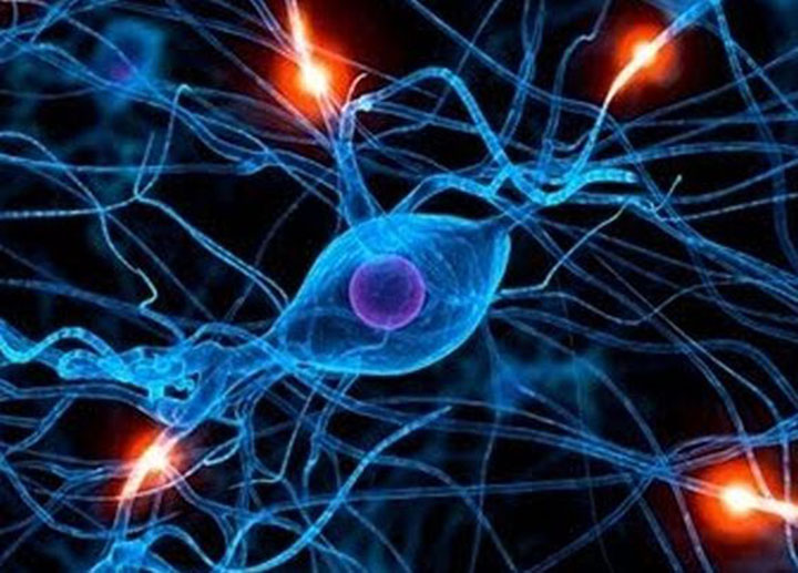 Types of Epileptic Seizures, epileptic seizures, tonic seizure, clonic seizure, tonic-clonic seizure