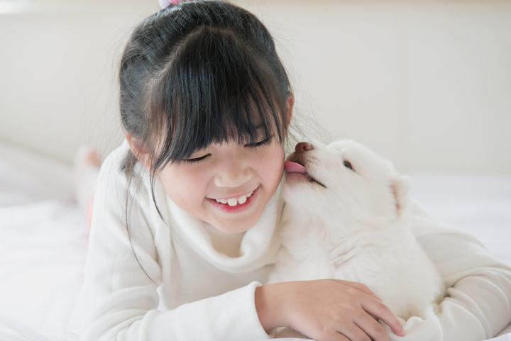 dog insurance